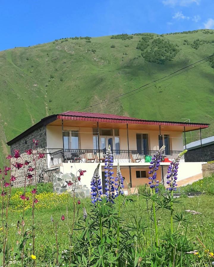 Cozy Hotel Kazbegi Eksteriør bilde